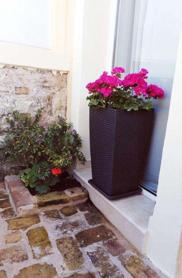 Anemomilos Jacuzzi Suite Corfu  外观 照片